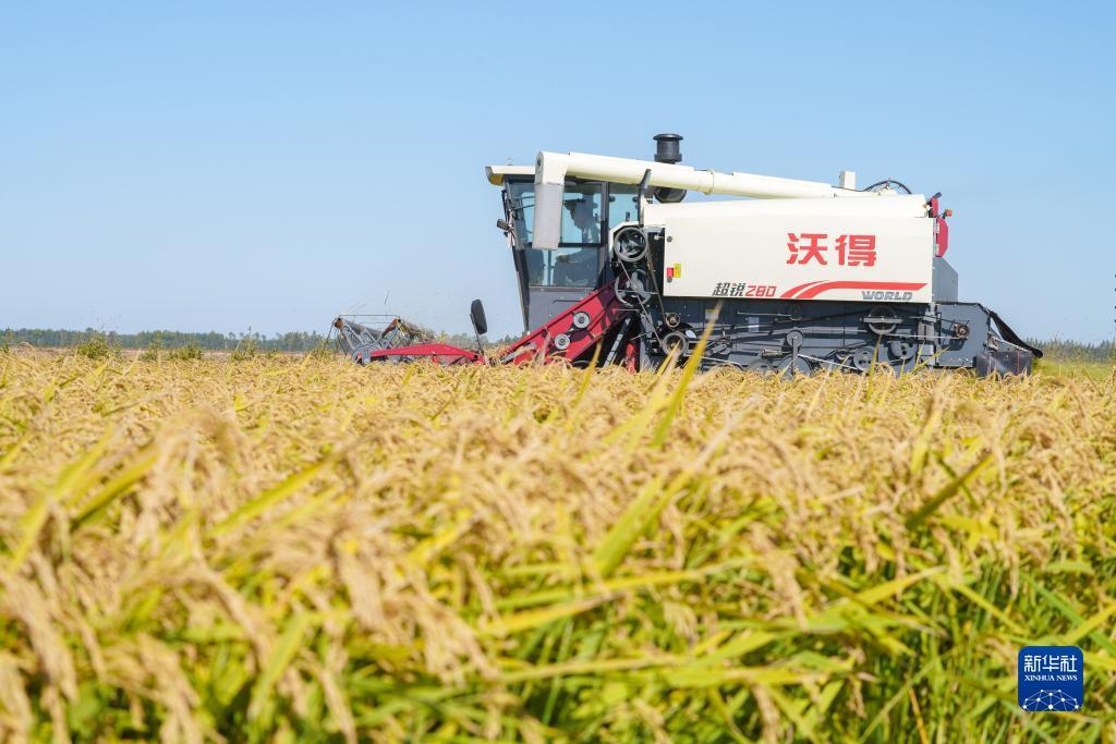 天天耍大牌在线斗地主
